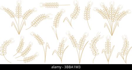 Golden outline of ripe ears of cereal plants. Set of wheat, rye, barley, millet, oat ears. Set of elements symbol of grain agricultural crops, vector Stock Vector