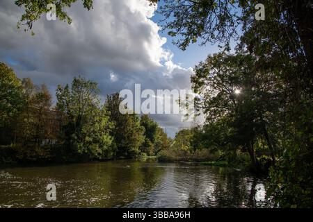 Sunlight filters through green trees by the River Lea at Enfield Lock with dark clouds and blue sky above in a peaceful late afternoon landscape. Stock Photo