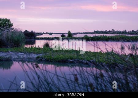 Sunset on the Po Delta with reflections on the water and reeds Stock Photo
