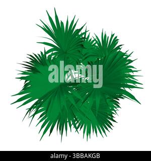 Palm tree with long, green leaves are shown in the image. The trees are tall and spread out, creating a lush, tropical atmosphere Stock Vector