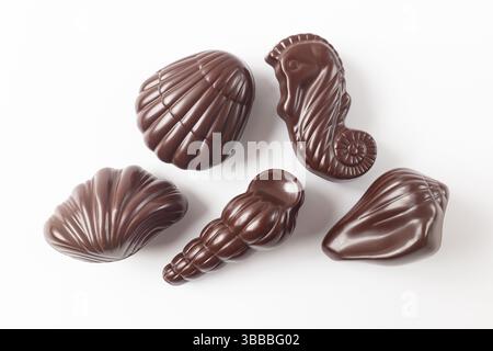 Seashells Chocolate on A White Background Stock Photo