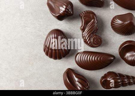 Seashell-shaped Belgian Seashells Chocolates Stock Photo