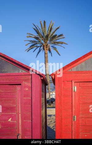 Tall palm tree perfectly centered between bright red wooden beach cabins against blue sky. Sandy pathway visible between symmetrical beach huts, ideal Stock Photo