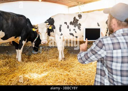 Rear view of male farm worker using digital tablet near cows in barn Stock Photo