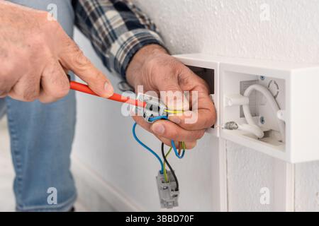 Electrician worker with screwdriver fixes electrical wires in the terminals of the socket of an electrical system. Construction industry. Stock Photo
