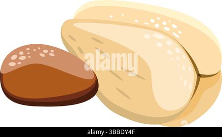 Peeled salak is snake fruit and pit vector illustration Stock Vector