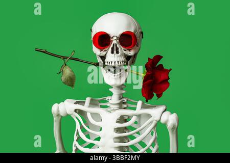 Human skeleton with sunglasses holding rose flower in mouth on green background Stock Photo