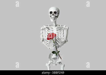 Human skeleton holding rose flower on grey background Stock Photo