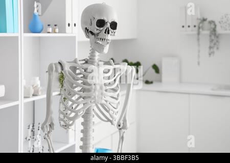 Interior of light hospital with human skeleton model Stock Photo