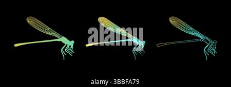 Dragonfly Isolated Illustration Set on Black Backgrounds with Yellow Turquoise Insects Stock Vector