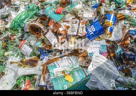 broken glass bin filled with shattered Bud Light and Coca Cola bottles  glass shards and fragments ready for recycling Stock Photo
