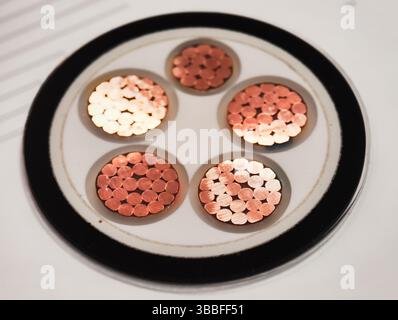 Cross-sectional view of power electric cable revealing intricate copper strands and insulation layers Stock Photo
