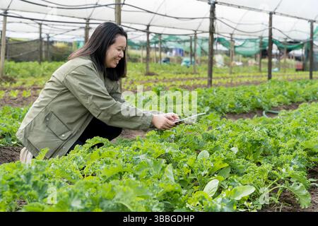 Asian female farmer using digital tablet to inspect and manage crops in green organic vegetable farm. Smart agriculture concept, using technology for Stock Photo