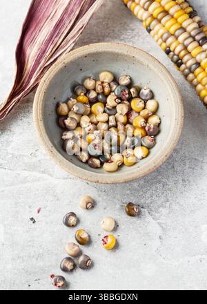 Organic multicolor mix seeds of "Amero" corn plant (Zea mays) in a small bowl on light stone background. Harvesting or growth of a plant at home Stock Photo