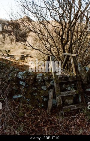 Wooden stile crosses mossy stone wall in a wooded rural Cumbria Stock Photo