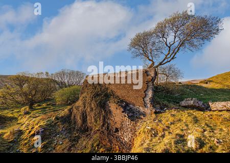 Remains of wall made with Penwylt bricks at the ruined bickworks, Penwyllt, Swansea Valley, Wales, UK Stock Photo