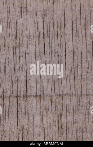 Aged Wood Siding Closeup Stock Photo