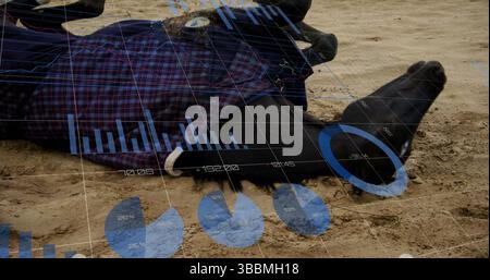 Image of statistics and data processing over horse Stock Photo