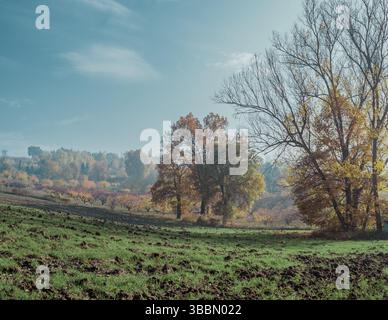 Sunny and misty autumnal rural landscape on the hills of Bologna province. Emilia-Romagna, Italy Stock Photo