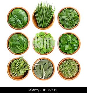 Most commonly used fresh herbs in wooden bowls. Basil, chives, and cilantro or coriander leaves. Mint, oregano, and parsley. Rosemary, sage, and thyme. Stock Photo