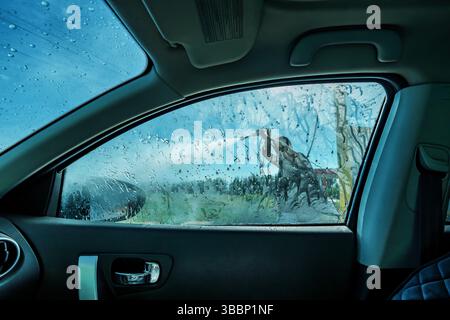 Man washing his car in a self-service car wash station Stock Photo