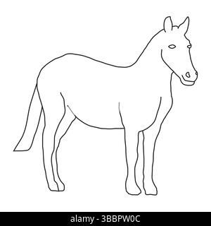 Horse Outline Thin Illustration Stock Vector