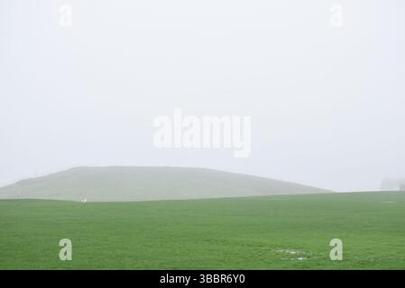Green field in Toronto, Canada, featuring a soft gradient of green fields fading into a dense fog Stock Photo