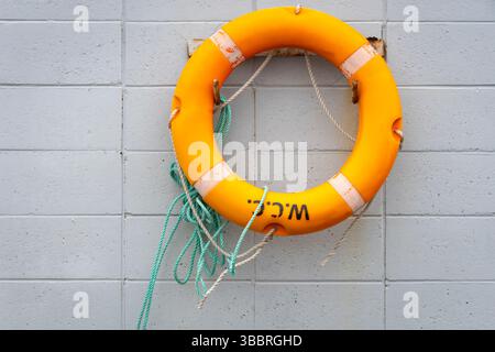 Life bouy ring on wall on wharf, Wellington, North Island, New Zealand Stock Photo