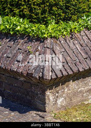 A close-up view of a brick wall corner, featuring a textured surface with moss and greenery on top. The bricks are weathered, showcasing a rustic char Stock Photo
