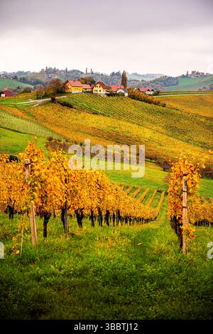 Styria Wine Route in fall, Austria Stock Photo
