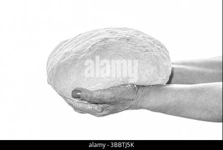 Fresh dough in human hands isolated on white background. Female hands holding raw dough on white background. Hands holding a finished clean dough Stock Photo