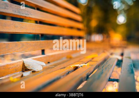 Beautiful closeup of autumn bench with fallen leaves in park garden on ground with blurred bokeh forest trees seasonal foliage natural background Stock Photo