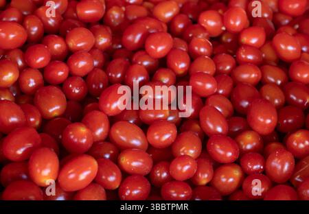 A crate filled with ripe red tomatoes. The crate is made of red plastic and is placed on a table. The tomatoes are arranged in a pile, with some overl Stock Photo