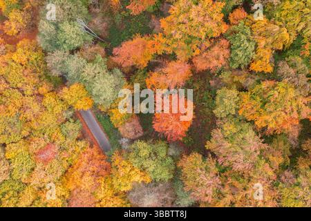 Gorgeous aerial autumn forest landscape with tranquil mountain road passing through, peaceful fall scene, scenic nature wall art, vibrant foliage Stock Photo