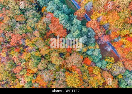 Gorgeous aerial autumn forest landscape with tranquil mountain road passing through, peaceful fall scene, scenic nature wall art, vibrant foliage Stock Photo