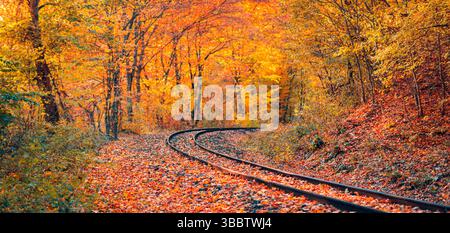 Beautiful autumn forest railroad leading lines perspective, colorful foliage, seasonal scenic nature landscape artistic abstract outdoor background Stock Photo