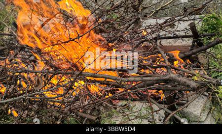 Bonfire with orange flames of burning wood and bricks. Blurred background. energy Stock Photo