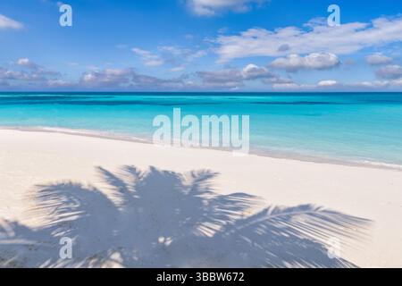 Beautiful closeup palm leaves casting shadows on white sand, tropical sea sky sun summer vacation tourism background, exotic beach island travel scene Stock Photo