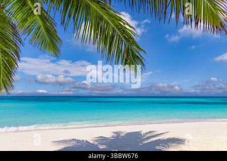 Beautiful closeup palm leaves with sea view and white sand, tropical island paradise background for summer vacation tourism, travel, relaxation nature Stock Photo
