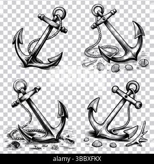 Detailed engraved anchor illustrations with rope and shells on a transparent background Stock Vector