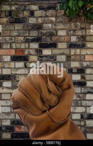 A held up gesture of a clenched fist in a light brown heavy leather glove against a background of a multicoloured Victorian ancient brick wall Stock Photo