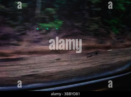 Green lights reflected in the window of a speeding train. Stock Photo