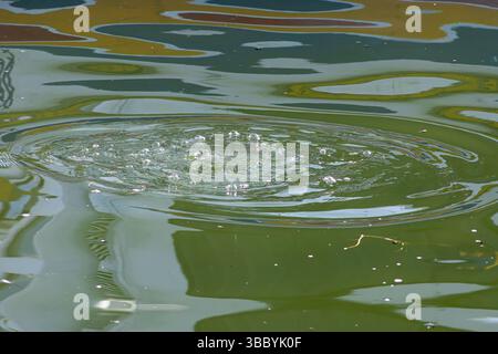 Waves on the surface of Lake Titicaca reflecting the lights of the sun and other surrounding images Stock Photo