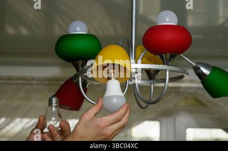 Male hands compare classic bulb with LED alternative while replacing lamp. Lamp highlights contrast between outdated energy use and efficient green so Stock Photo