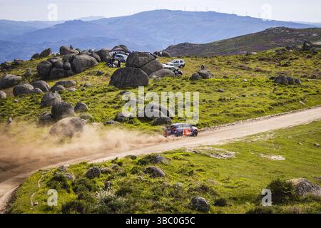 87 Taylor GILL, Daniel BRKIC, Ford Fiesta Rally3, ambiance during the ...
