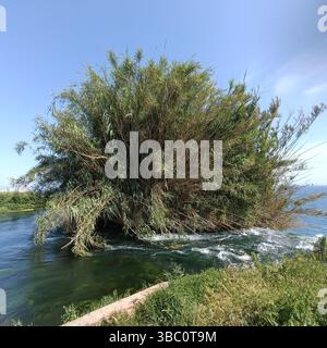 waterfall on the rock,waterfall on the rocks Stock Photo