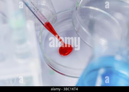 Scientist shows a diffusion in the Petri dish Stock Photo
