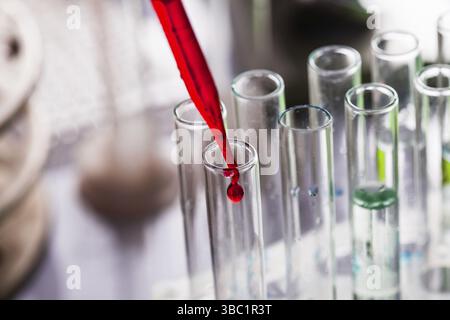 Scientist shows a diffusion in the Petri dish Stock Photo