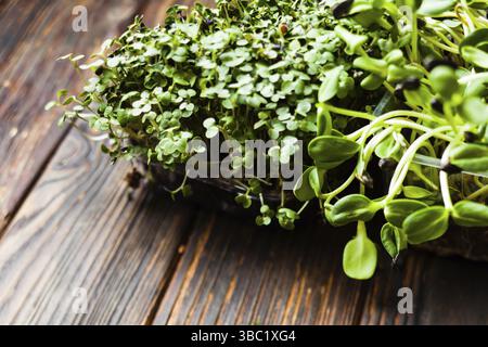 Micro greens variety in boxes on wooden table close up for healthy cooking Stock Photo