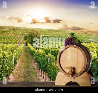 Oak barrel over vineyards on the background. Winery concept Stock Photo